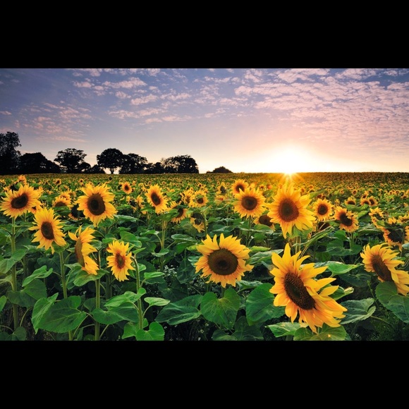 Meet your Posher, Larisa - Picture 1 of 1